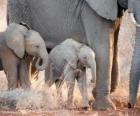 Мама, контролируя мало слон